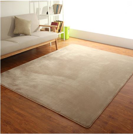 Modern Living Room Carpet O Shi