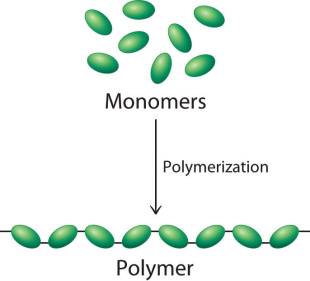 Gambar Monomer